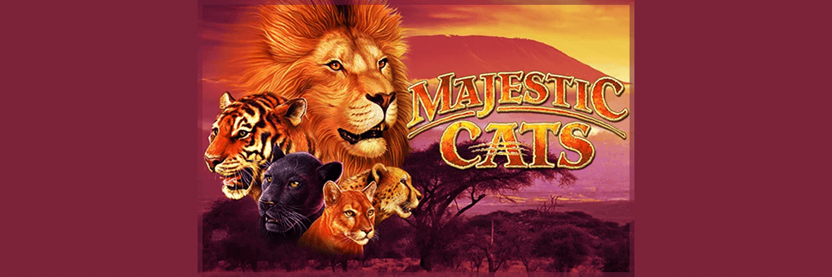 Majestic Cats