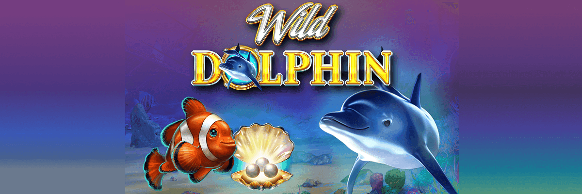 Wild Dolphin